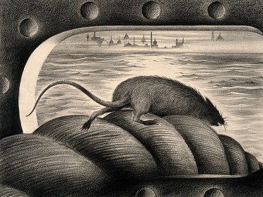 крыса покидает тонущий корабль