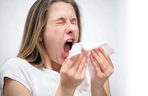 Аллергия на пылевого клеща